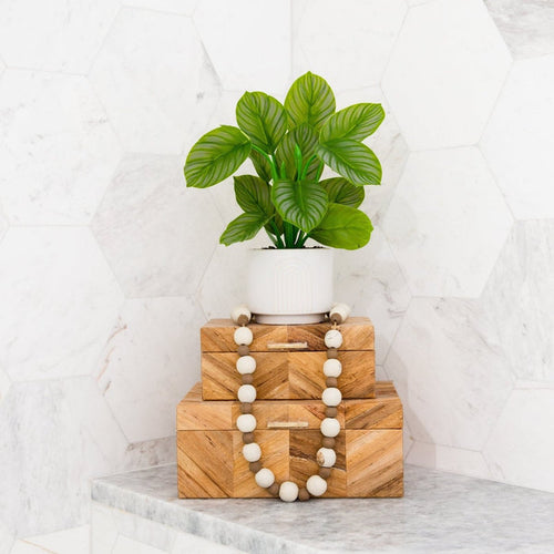 12" Artificial Calathea Plant with Decorative Planter - Ed's Plant Shop