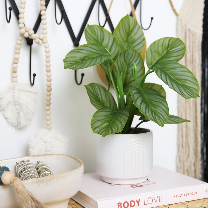 12" Artificial Calathea Plant with Decorative Planter - Ed's Plant Shop
