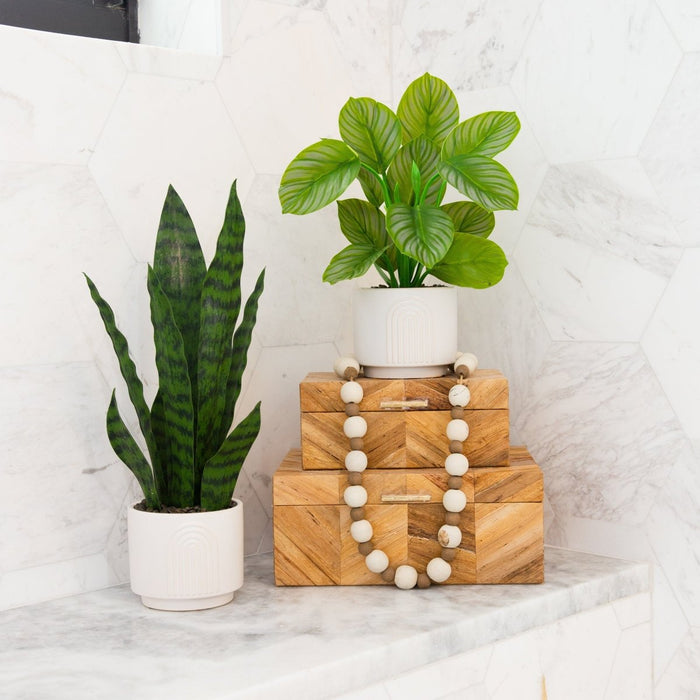 12" Artificial Calathea Plant with Decorative Planter - Ed's Plant Shop