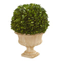 Preserved Boxwood Ball in Decorative Urn - 12" - Ed's Plant Shop