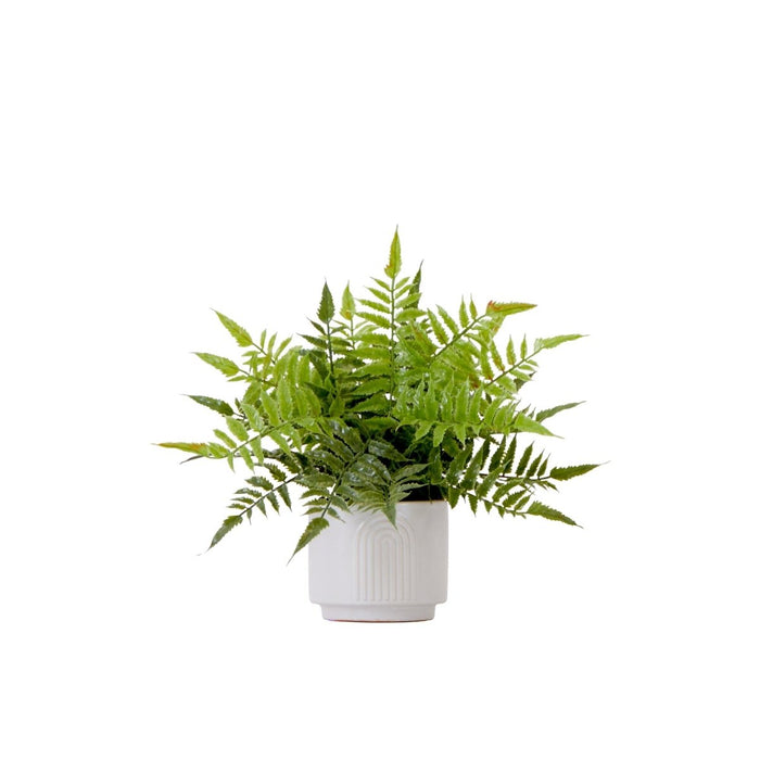 13" Artificial Boston Fern Plant with Decorative Planter - Ed's Plant Shop