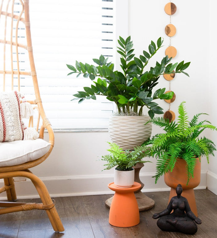13" Artificial Boston Fern Plant with Decorative Planter - Ed's Plant Shop