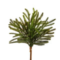 18” BALSAM FIR Pick