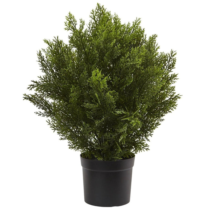 2’ Artificial Cedar Bush (Indoor/Outdoor) - Ed's Plant Shop