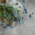 22" BLUE PAPER DAISY BUSH