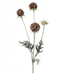 23" GARDEN SCABOSIA SPRAY X4 2