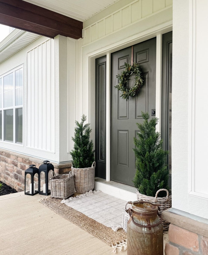 3’ Mini Cedar Pine Tree (Indoor/Outdoor) - Ed's Plant Shop