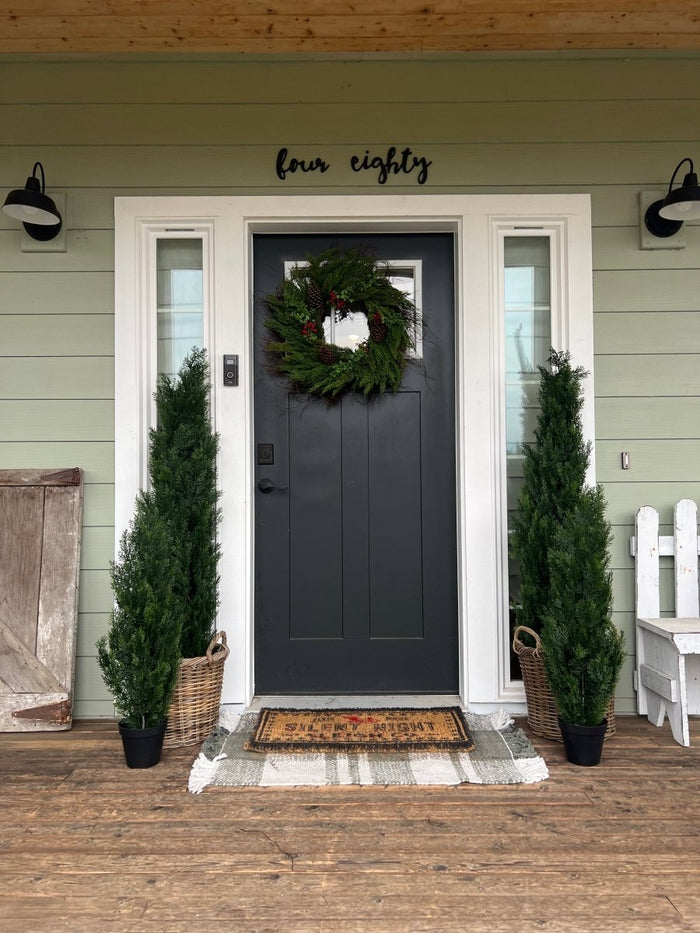 3’ Mini Cedar Pine Tree (Indoor/Outdoor) - Ed's Plant Shop