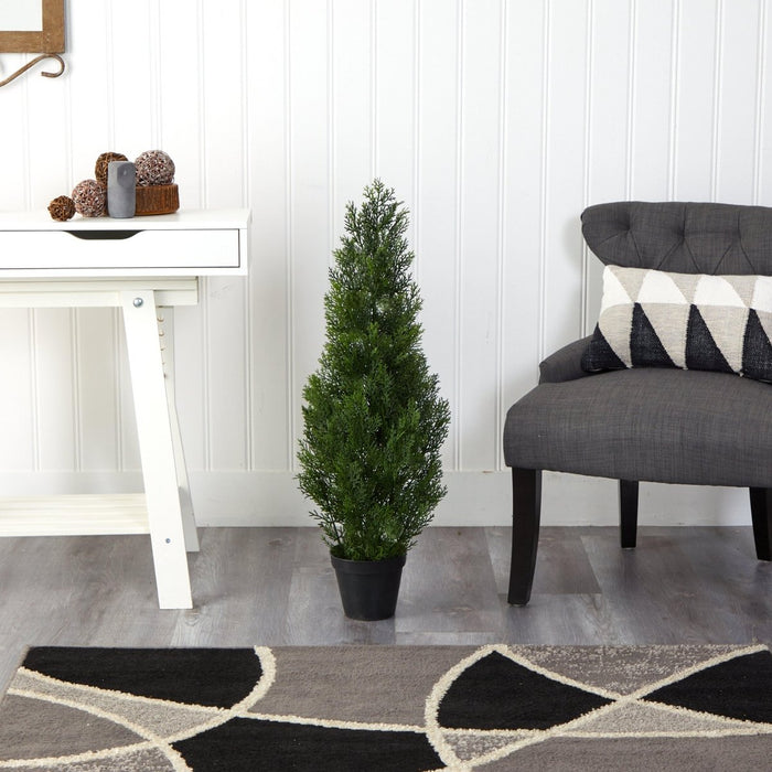 3’ Mini Cedar Pine Tree (Indoor/Outdoor) - Ed's Plant Shop