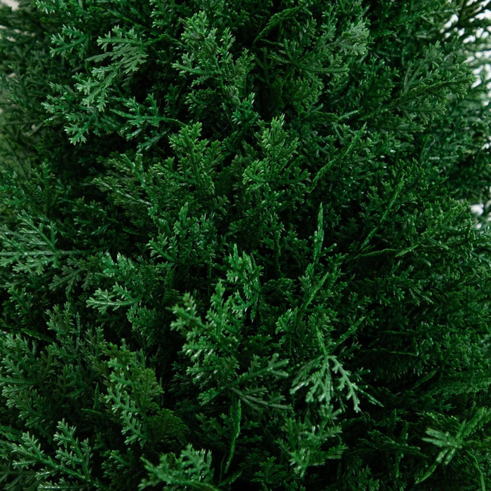3' UV Resistant Artificial Cedar Plant with Integrated Ground Stake – Set of 2 - Ed's Plant Shop
