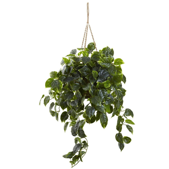 Pothos Hanging Basket UV Resistant - Indoor/Outdoor (36″H × 30″W) - Ed's Plant Shop