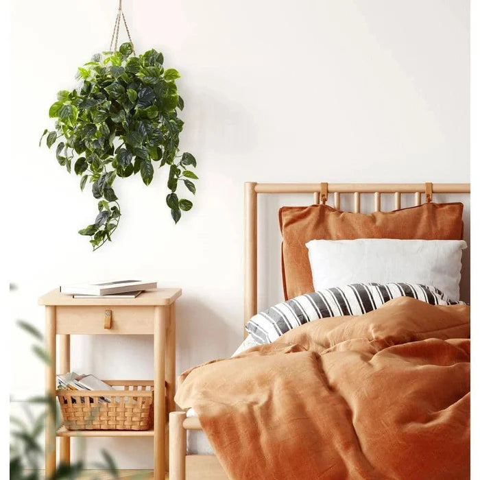 Pothos Hanging Basket UV Resistant - Indoor/Outdoor (36″H × 30″W) - Ed's Plant Shop