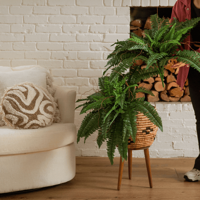 40″ Artificial Boston Fern (Set of 2)