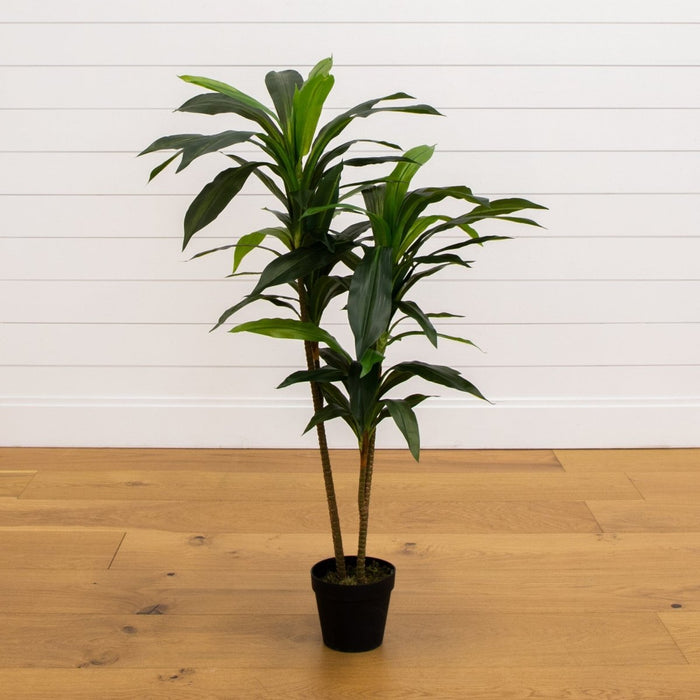 48 - in Dracaena Silk Plant (Real Touch) - Ed's Plant Shop