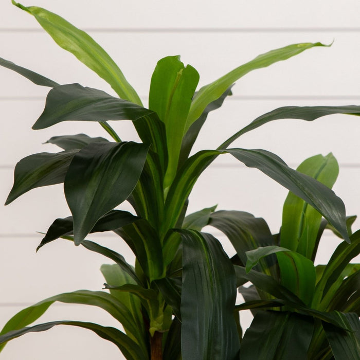 48 - in Dracaena Silk Plant (Real Touch) - Ed's Plant Shop