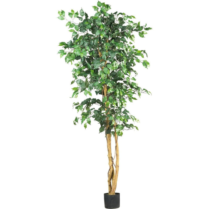 6' Silk Ficus Tree – Lifelike Polyester Indoor Artificial Tree - Ed's Plant Shop