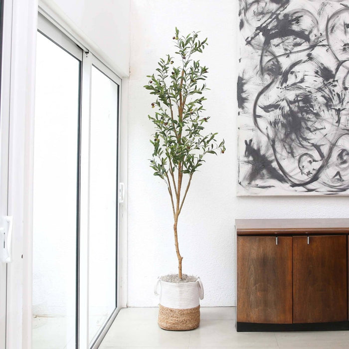 7’ Artificial Olive Tree in Sunny Living Room with floor-to-ceiling windows