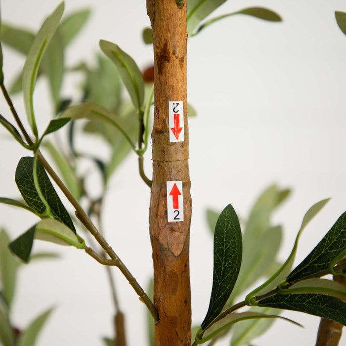 7 - ft Artificial Olive Tree with Natural Trunk - Ed's Plant Shop