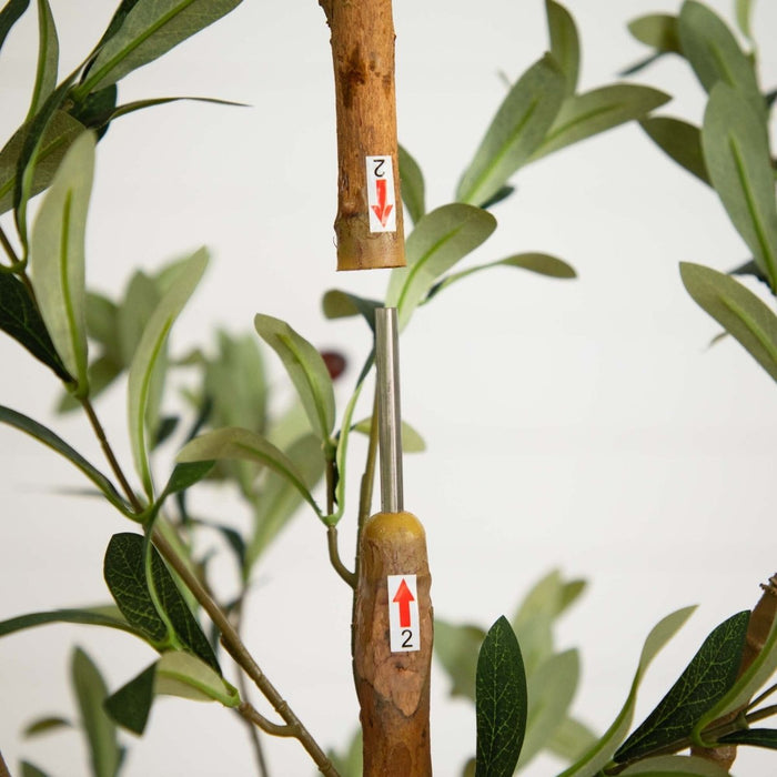 7 - ft Artificial Olive Tree with Natural Trunk - Ed's Plant Shop