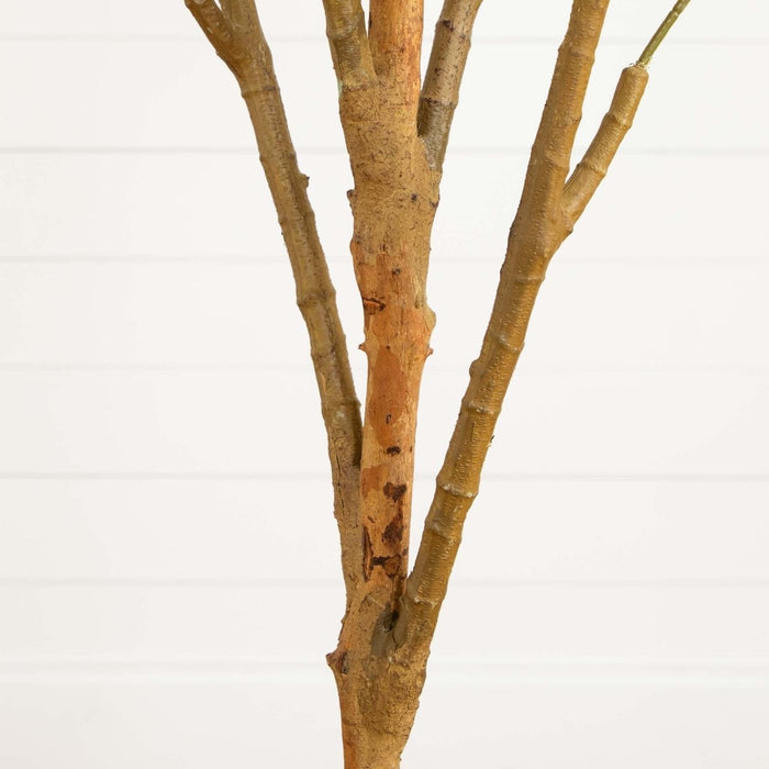 82" Artificial Olive Tree Closeup of Brown Stems – Tall, Rustic & Lifelike Décor Accent - Ed's Plant Shop