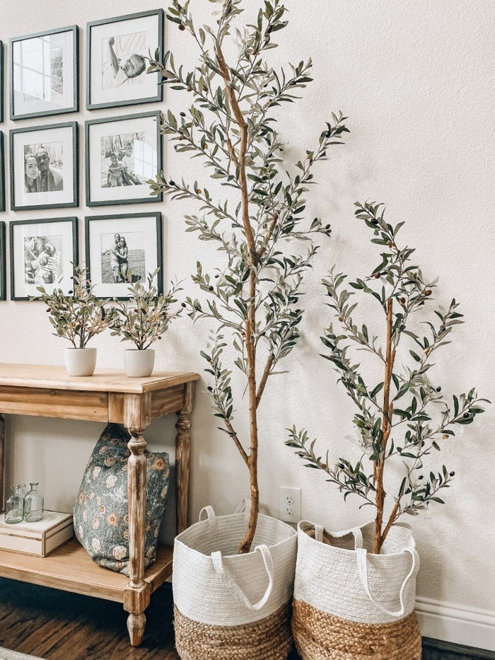 82" Artificial Olive Tree – Tall, Rustic & Lifelike Décor Accent - Ed's Plant Shop