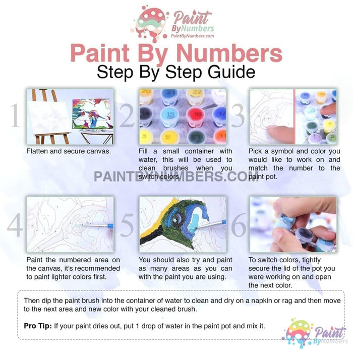 White Wolf Dreamcatcher Paint By Numbers Kit