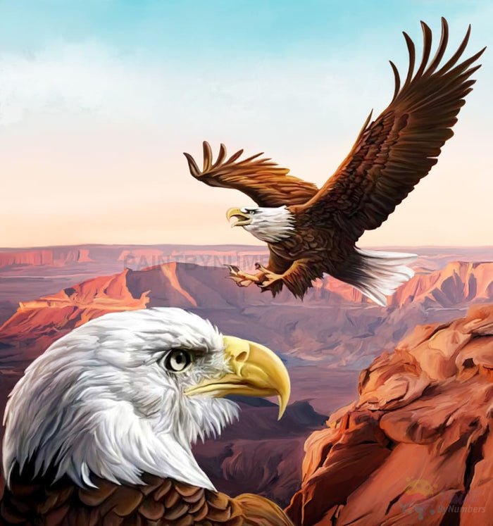 America The Beautiful Eagle Paint By Numbers Kit For Adults