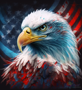 American Eagle Paint By Numbers Kit For Adults