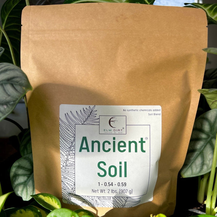 Ancient Soil - Premium Soil For Houseplants - Ed's Plant Shop