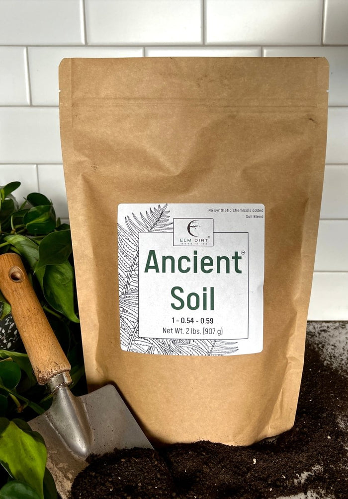 Ancient Soil - Premium Soil For Houseplants - Ed's Plant Shop