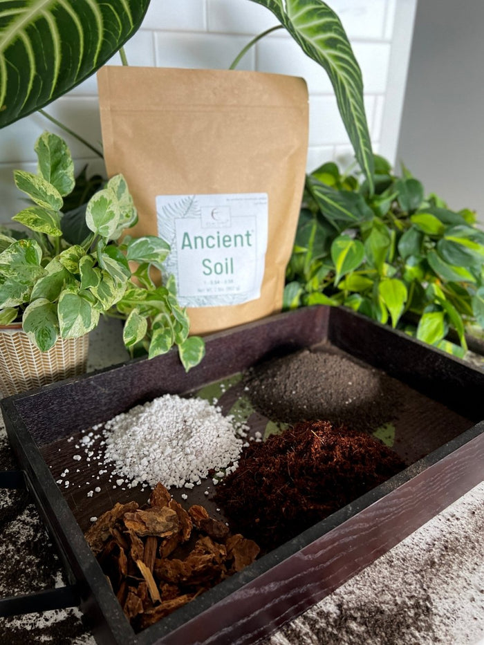 Ancient Soil - Premium Soil For Houseplants - Ed's Plant Shop