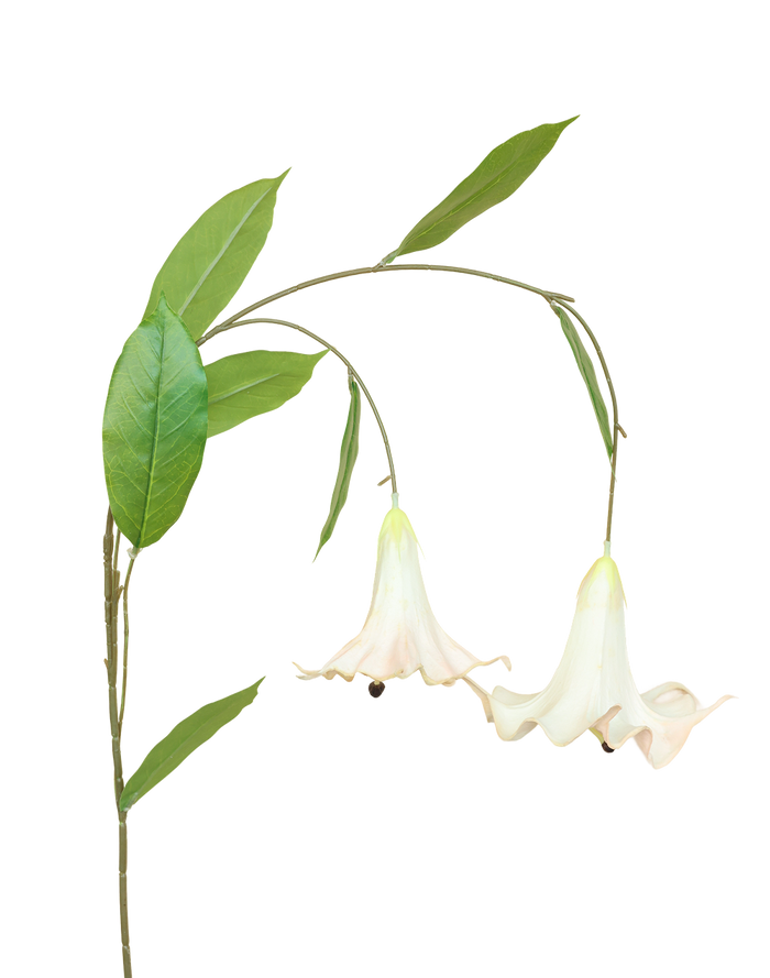 Angel's Trumpet | Available in 6 Colors