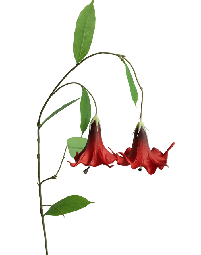 Angel's Trumpet | Available in 6 Colors
