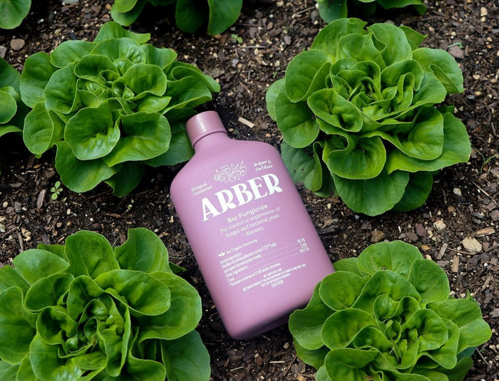Arber Bio Fungicide – 16oz Concentrate - Ed's Plant Shop