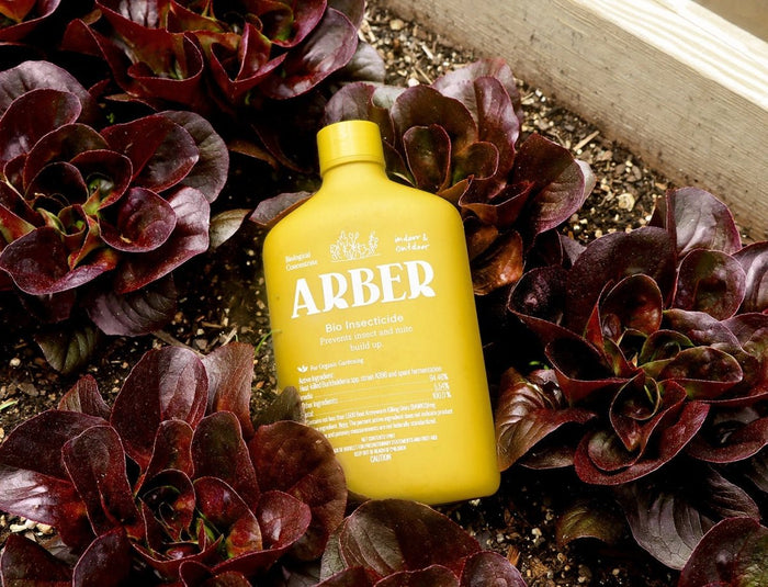 Arber Bio Insecticide - 16oz Concentrate - Ed's Plant Shop