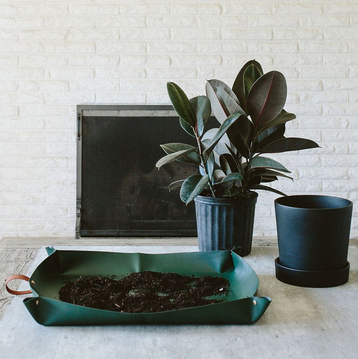 Arber Repotting Mat – Mess - Free Plant Care Solution - Ed's Plant Shop