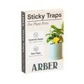 Box of Arber Sticky Traps for plant pests on a white background