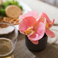 Artificial Flower Mini Real Touch Orchid in Peach Pink - Ed's Plant Shop