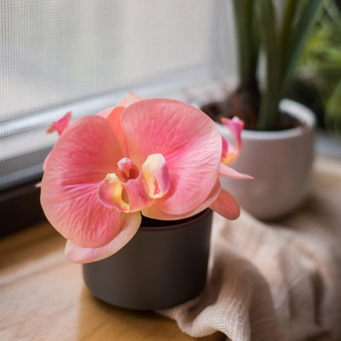 Artificial Flower Mini Real Touch Orchid in Peach Pink - Ed's Plant Shop
