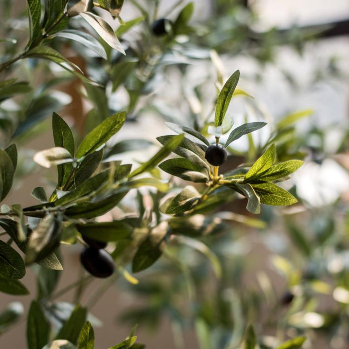 Artificial Silk Faux Olive Tree In Pot - Ed's Plant Shop