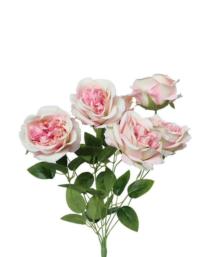 Austin Rose 7-Stem Spray | Available in 7 Colors