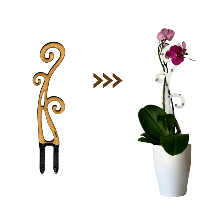 BARE™ Flora™ – Customizable Wooden Floral Plant Trellis for Indoor Climbing Plants - Ed's Plant Shop