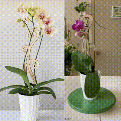 BARE™ Flora™ – Customizable Wooden Floral Plant Trellis for Indoor Climbing Plants