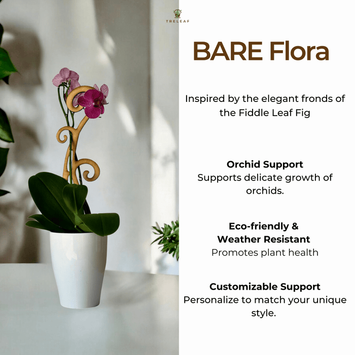 BARE™ Flora™ – Customizable Wooden Floral Plant Trellis for Indoor Climbing Plants - Ed's Plant Shop