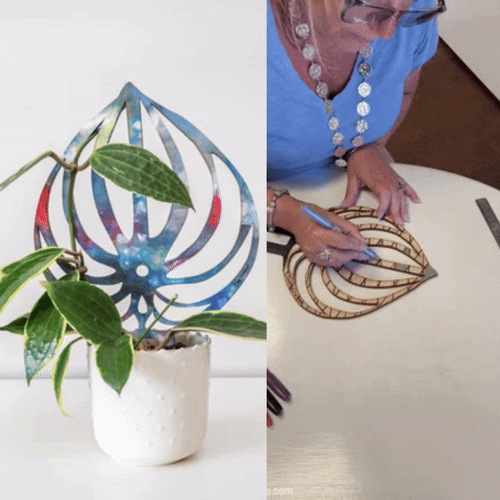 BARE™ Peptrella™ Plant Trellis – Customizable Birch Wood Support Inspired by Peperomia