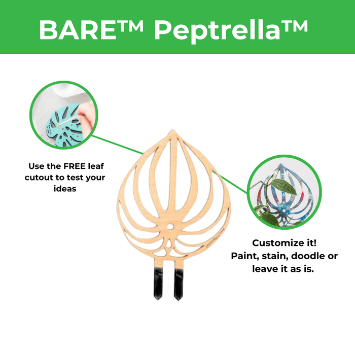 BARE™ Peptrella™ Plant Trellis – Customizable Birch Wood Support Inspired by Peperomia - Ed's Plant Shop