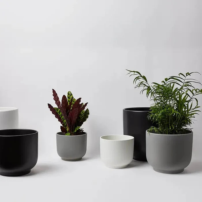 Bell Ceramic Planter – Curvy Indoor Houseplant Pot (6", 8", 10") - Ed's Plant Shop