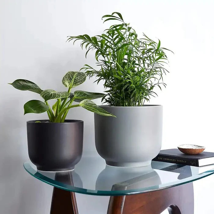 Bell Ceramic Planter – Curvy Indoor Houseplant Pot (6", 8", 10") - Ed's Plant Shop