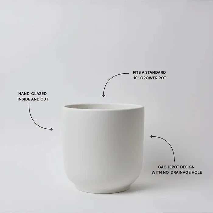 Bell Ceramic Planter – Curvy Indoor Houseplant Pot (6", 8", 10") - Ed's Plant Shop