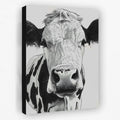 Black and White Bovine - Animals Canvas Wall Art